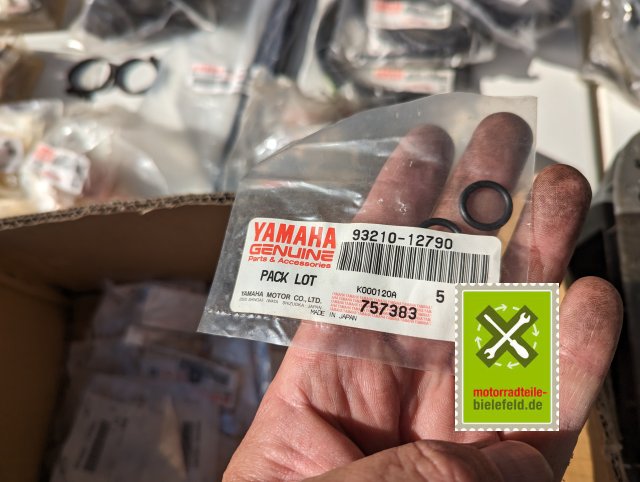 PXL_20240528_153432938